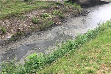 Was Ist mit dem Mühlenbach und der Lippe los? Es stinkt gewaltig in Lippholthausen.