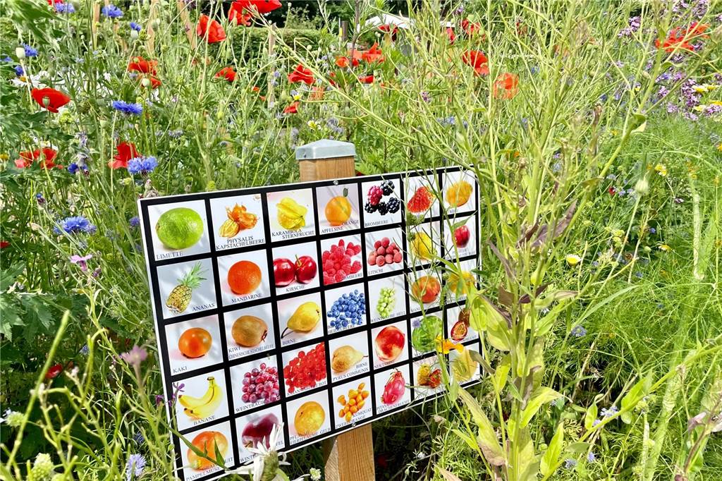 Neuer Lehrgarten im Dortmunder Süden: Das interessiert sogar den Bundestag Was wächst wo? Die kleinen Besucher können das Obst und Gemüse anhand von Tafeln bestimmen.