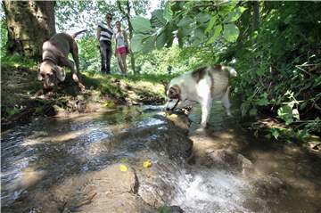 Wasser ist Natur, Schmuck und Erlebnis. Um seinen Hunden eine solche Erfrischung bieten zu können, müssen Unnaer derzeit noch etwas weiter in den Bornekamp hineinlaufen – und darauf hoffen, dass überhaupt genug Wasser von den Haarstranghöhen zu Tal fließt.Archiv