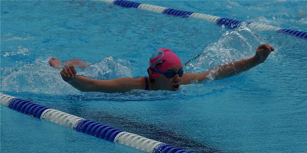 Nach acht Jahren Pause: Endlich wieder Salinen-Schwimmfest in Werne Wasserfreunde des TV Werne feiern endlich wieder Salinen-Schwimmfest.