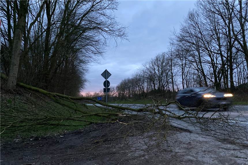 Sportplätze und Straßen gesperrt - Stadt Haltern bereitet sich auf Sturm vor Wegen der Gefahr von herabstürzenden Bäumen und Ästen werden mehrere Straßen in Haltern gesperrt.