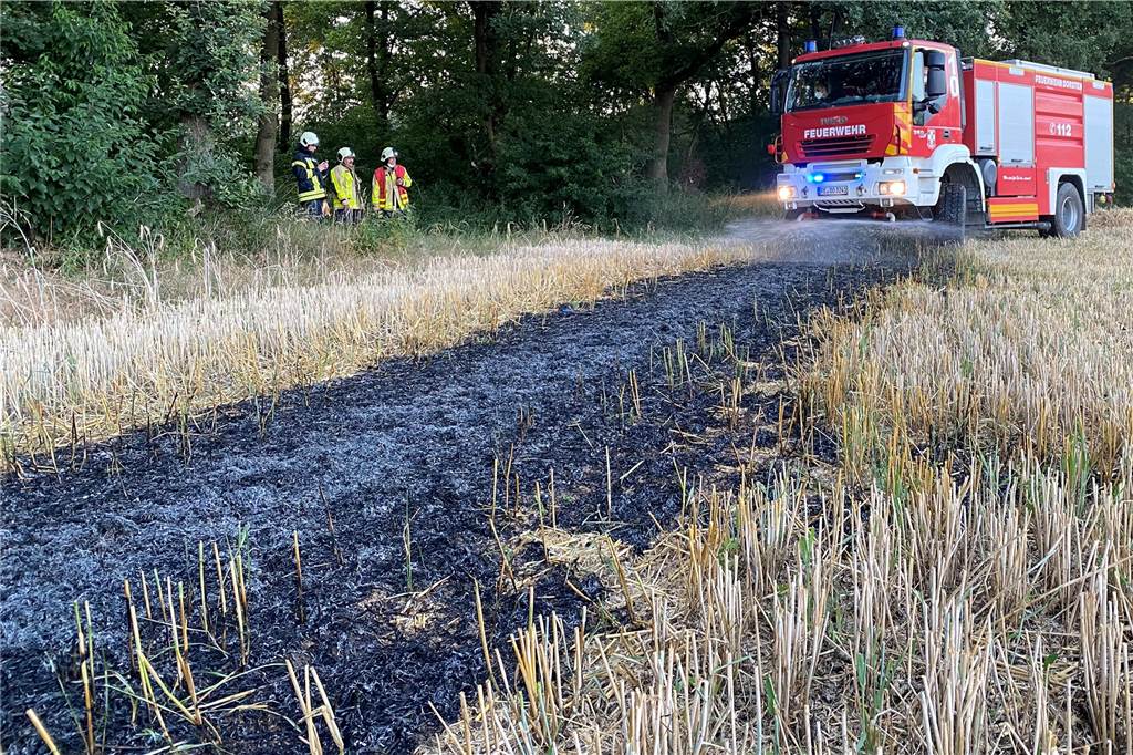 Große Trockenheit: Mehrere Brände in Dorsten, Anwohner halfen der Feuerwehr Feuerwehr löscht Brand auf Feld