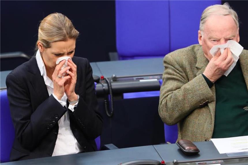 AfD verliert in Umfrage - SPD im leichten Aufwind Wegen der Umfragewerte verschnupft? AfD-Fraktionschefin Alice Weidel und Alexander Gauland putzen sich synchron die Nase. Foto: Michael Kappeler