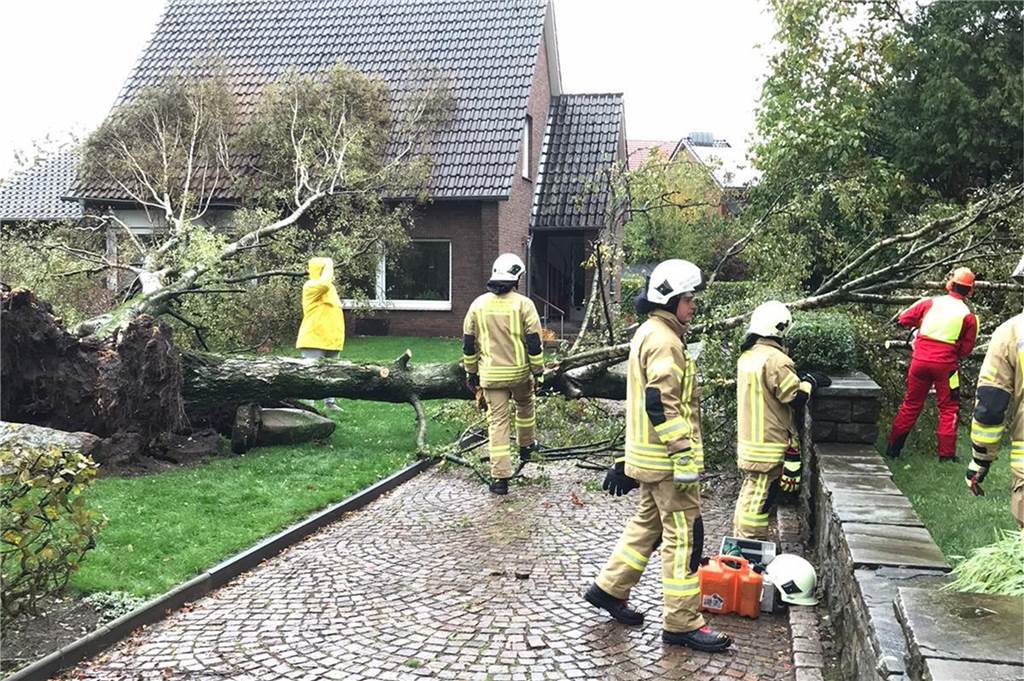 So wütete der Sturm über Dorsten (mit Fotostrecke & Video) Wegen des kurzen, aber heftigen Regenschauers mit starken Windböen sind Freitagmittag in Raesfeld zwei Birken an der Dorstener Straße umgestürzt.
