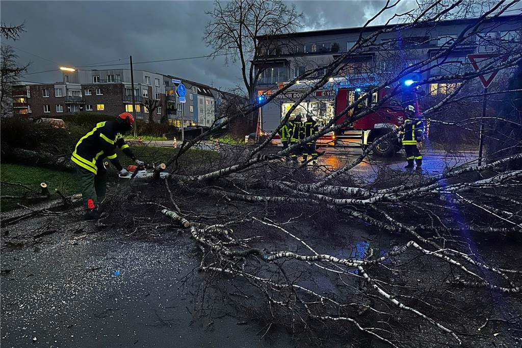 Umgestürzte Bäume: Sturm sorgt für viele Einsätze für die Feuerwehr Wegen des Sturms landeten einige Bäume auf den Dorstener Straßen.