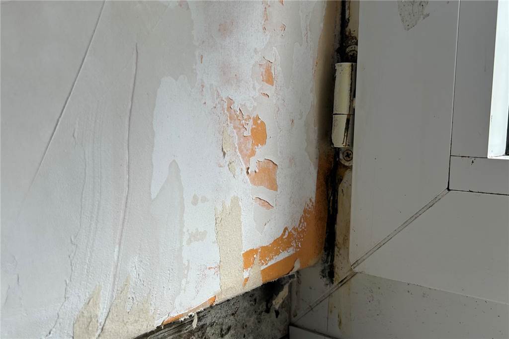 Wegen Schimmelwohnung: Vierstelliger Schaden für Melanie Hoffmann Weil zwei Winter lang eine funktionierende Heizung gefehlt hat, hat sich in den Fensterecken Schimmel gebildet.