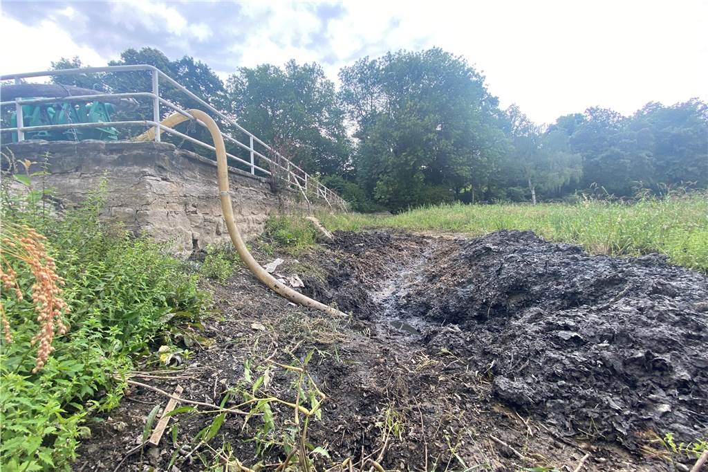 Diese grüne Oase war mal der Gondelteich: Neue Pläne sind festgezurrt Weiterhin wird der Gondelteich ausgepumpt. Das wenige Wasser, das sich hier sammelt wird in einen nahegelegenen Gully gepumpt. Die dafür eingesetzte Pumpe mach viel Lärm.