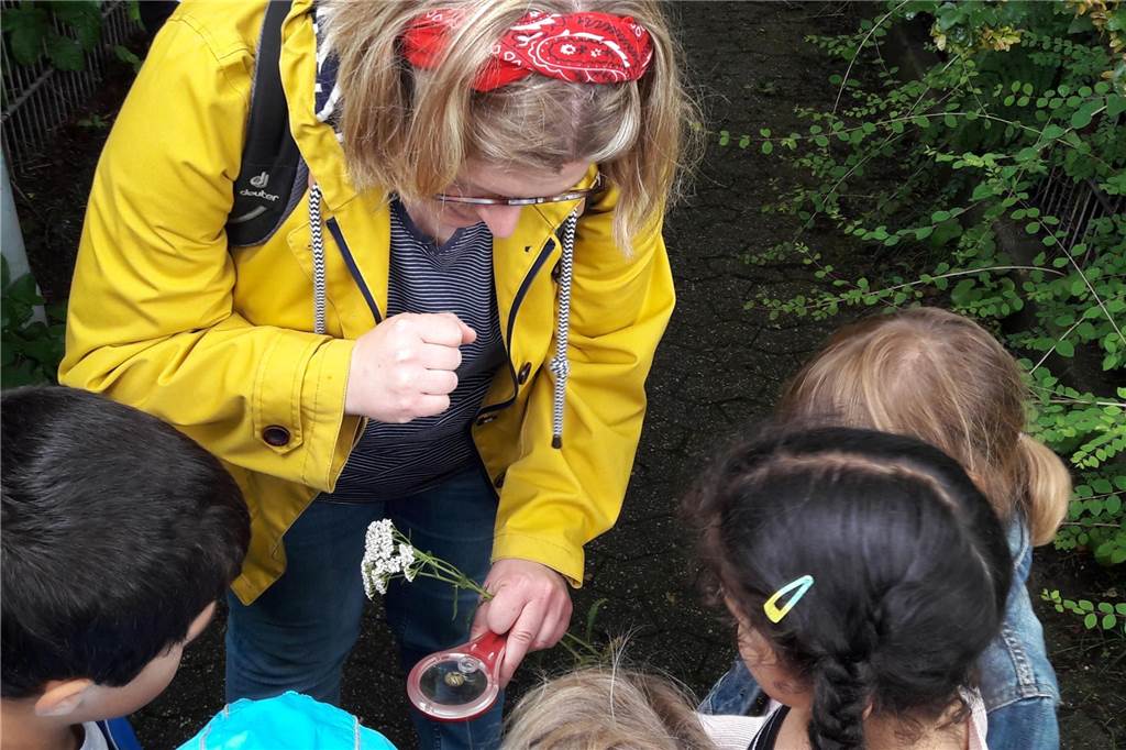 Neue Akademie: „Wir sind zwar klein, spielen aber trotzdem Bundesliga“ Welche Möglichkeiten bietet die Natur bei der Erziehung von Kindern? Das ist das Thema der neuen Akademie in Raesfeld.