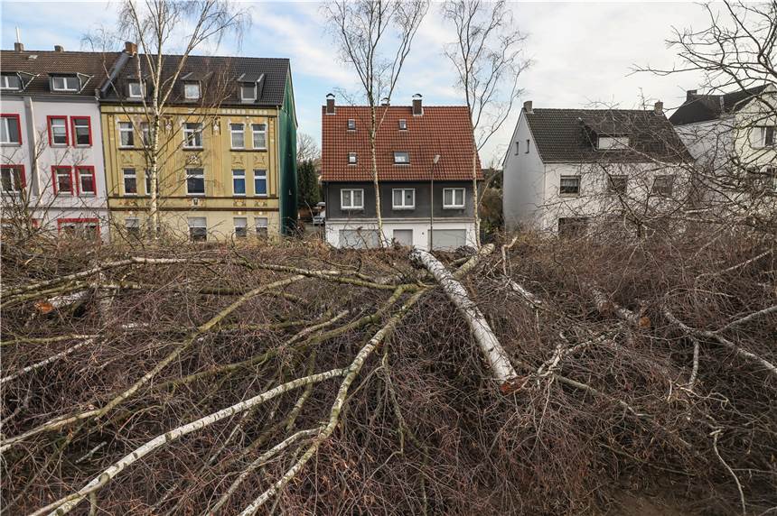 Familie Schett prangert Kahlschlag an der Derner Straße an Wenig erbaulich finden die Anwohner der Häuser rund um die Derner Straße 485 in Kirchderne diesen Anblick