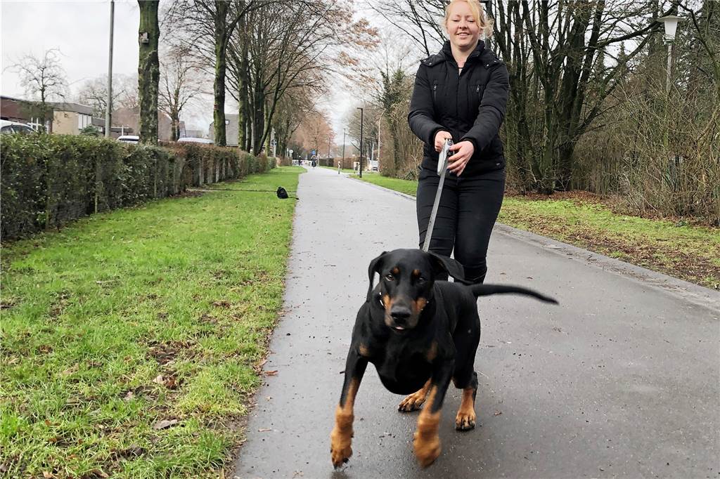 Sonja Lanfer (32): Stadtlohnerin verlor mit elf ihr Herz an den Dobermann Wenn der Fotograf ein Leckerli hat ...