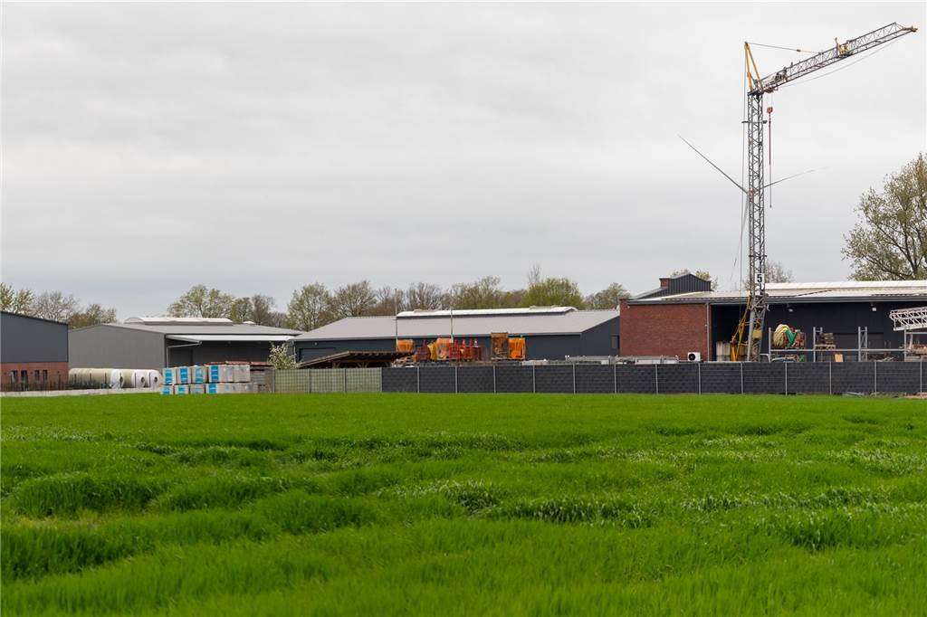 Gewerbegebiet Lünten: Immissionen scheinen kein Problem zu sein Wenn die Bedenken ausgeräumt werden, könnte an dieser Stelle bald ein Wall zum Schutz von Wildtieren entstehen.