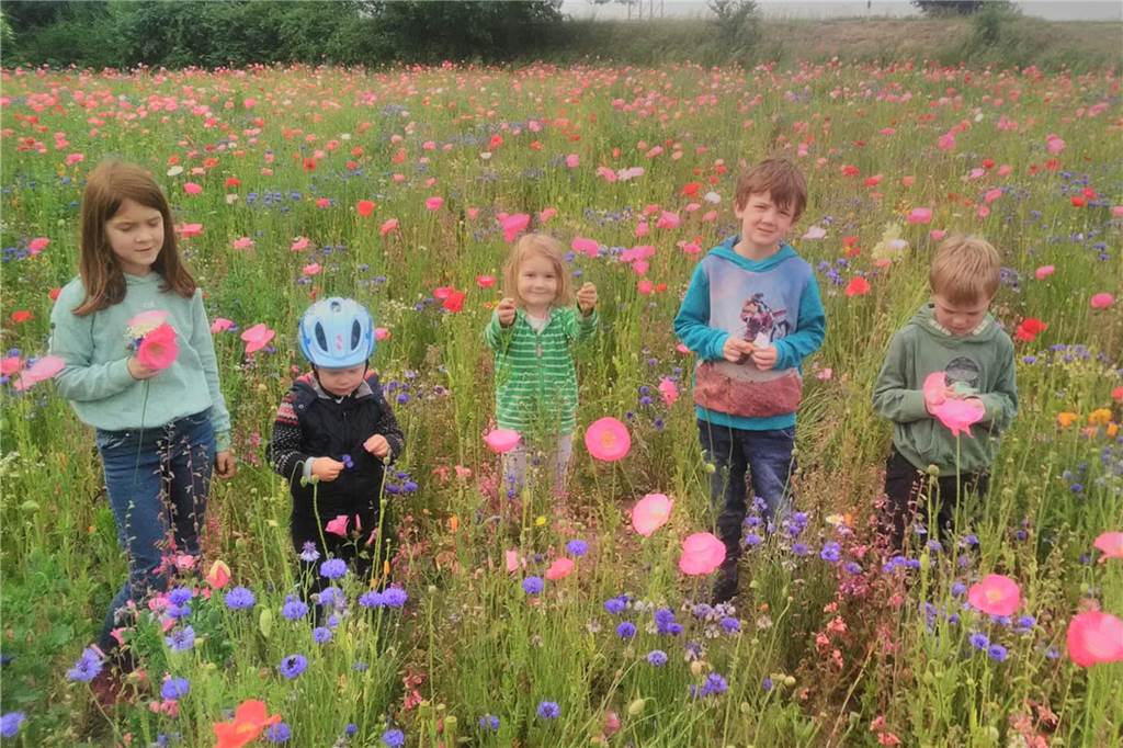 Bienenglück in Kirchhellen: Familie Askemper sucht Blühpaten Wenn die Blütenpracht da ist, zieht sie auch Besucher an, wie hier die fünf Enkelkinder von Landwirt Rudolf Askemper.
