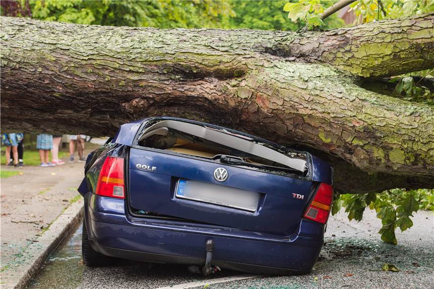 Wenn einem Autobesitzer grobe Fahrlässigkeit nachgewiesen werden kann, könnte der Versicherungsschutz erlöschen: Beispielsweise, wenn der Halter sein Auto trotz Sturmwarnung unter einem Baum parkt.