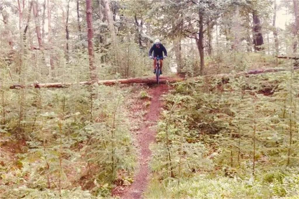 Wenn Thomas Loick unterwegs ist, geht er auch mal wie dieser Mountain-Bike in Dorsten auf Trails in den Wald.