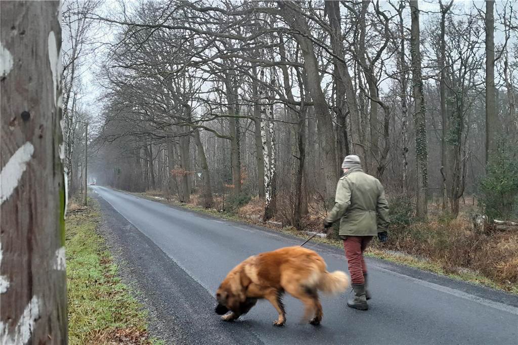 Wer auf dem W2 unterwegs ist, kann sich gut vorstellen, dass Schenkewald hier immer noch mit der Kutsche entlangfährt. Breit genug ist der Weg immer. Und meistens auch asphaltiert. 