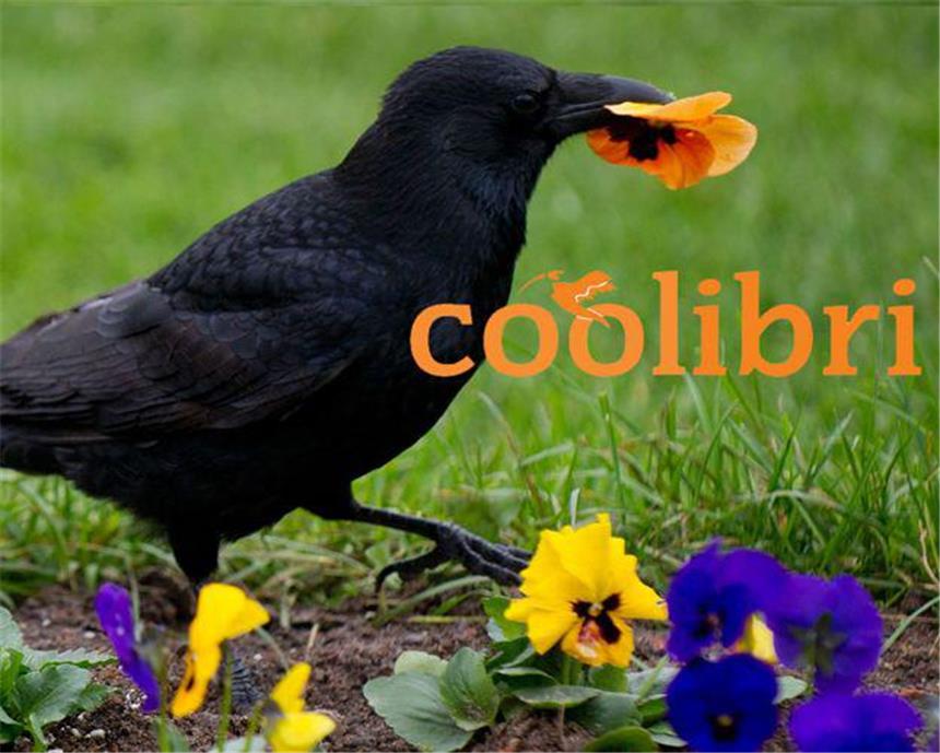 Endlich Wochenende: Feiern im Frühling Wer braucht schon Sommer, wenn er Wochenendtipps hat? Dieser Vogel jedenfalls scheinbar nicht.
