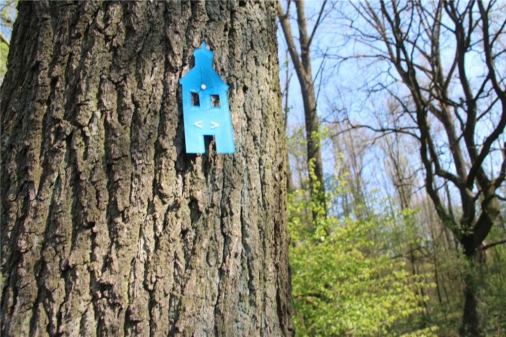 Wenn sich Naturbegeisterte auf der Schlösserachse dem Wolf nähern Wer dieses blaue Schild sieht, weiß, dass er auf dem richtigen Weg zwischen den beiden Schlössern ist.