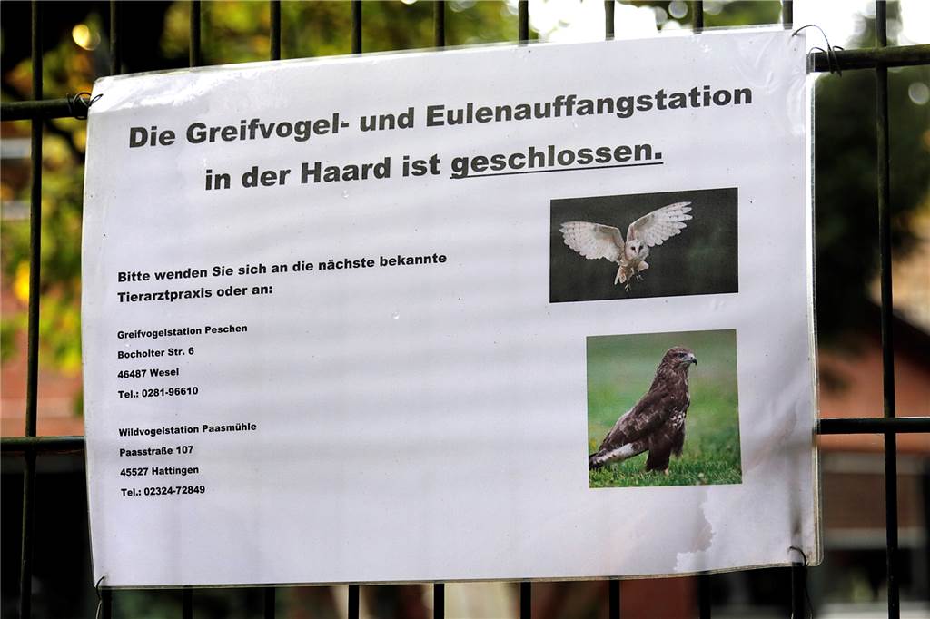 Greifvogelauffangstation in Haltern ist geschlossen - Ersatz ist in Sicht Wer einen verletzten Greifvogel findet, muss jetzt weiter fahren.