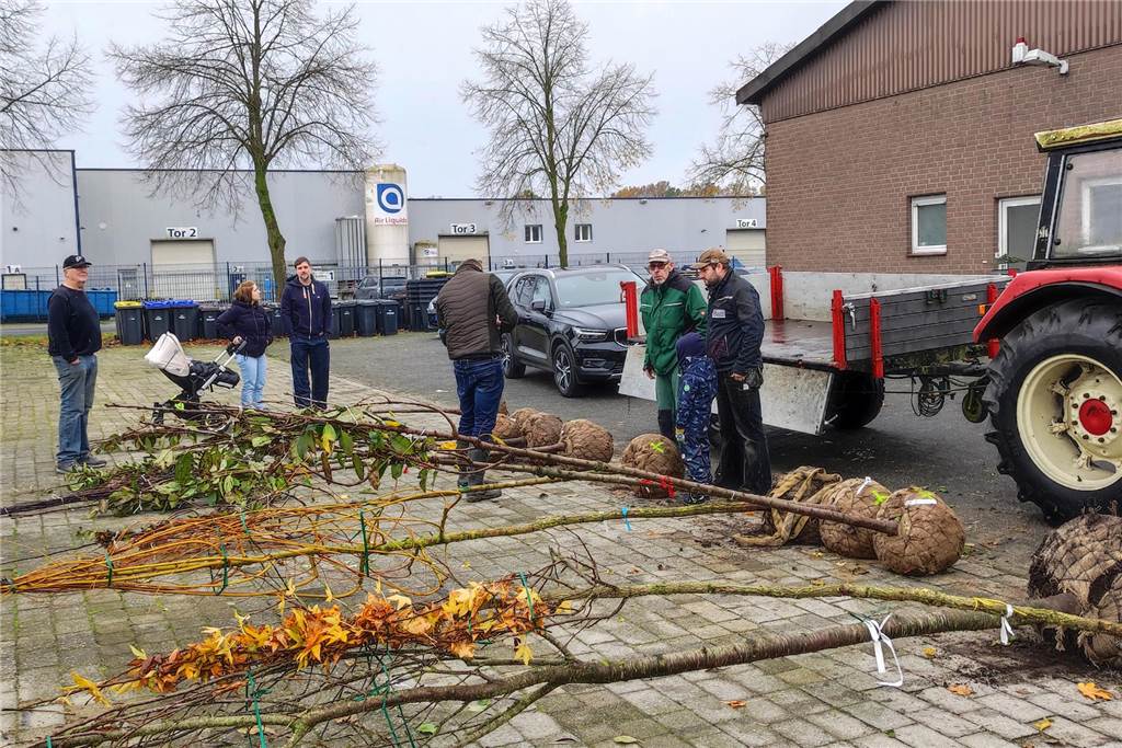 Erfolgreiche Premiere: Heeker Eltern begeistert von Geburtenbaumaktion Geburtenbaum-Aktion in Heek
