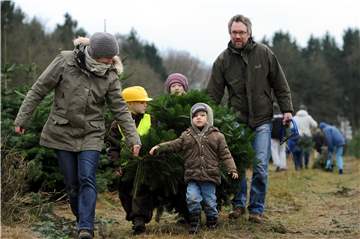Wer ökologisch richtig punkten möchte, der geht mit dem Förster in den heimischen Wald und schlägt sich den Baum selbst.