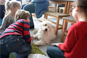Wer seine Aufgaben erledigt hat, darf Schulhund Flocke streicheln.
