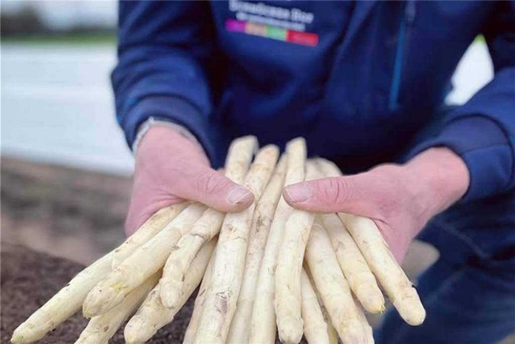 Spargelsaison in den Startlöchern: Sonnenschein macht’s möglich Wer sich selbst nicht die Mühe machen möchte, hat die Möglichkeit im Restaurant auf dem Schmücker Hof feldfrischen Spargel in sämtlichen Variationen zubereitet zu genießen.