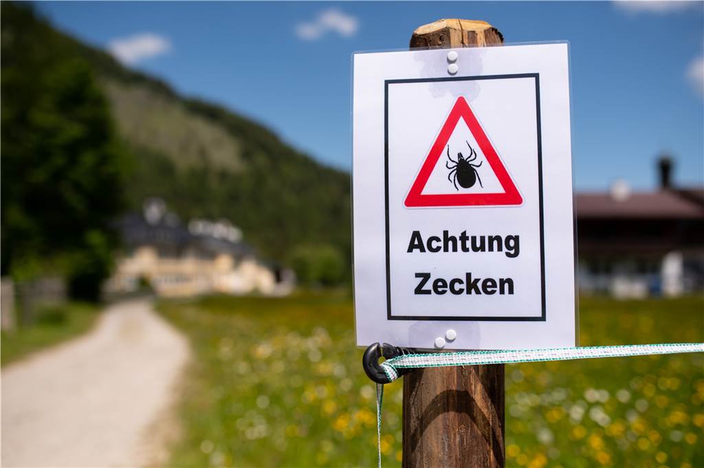 Fünf Tipps gegen Zecken - und wann eine FSME-Impfung sinnvoll ist Ein Schild mit der Aufschrift "Achtung Zecken" an einem Wanderweg.