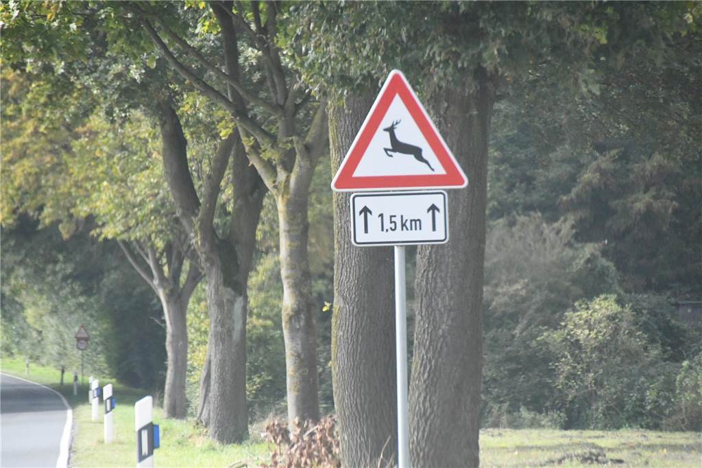 Wer solch ein Schild sieht, sollte den Fuß vom Gas nehmen.