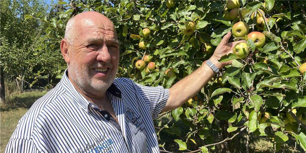 Obstbaumwiese: Werner Locker reserviert Baum für wichtigen Selbstpflücker Werner Locker auf der städtischen Obstbaumwiese in Schwieringhausen