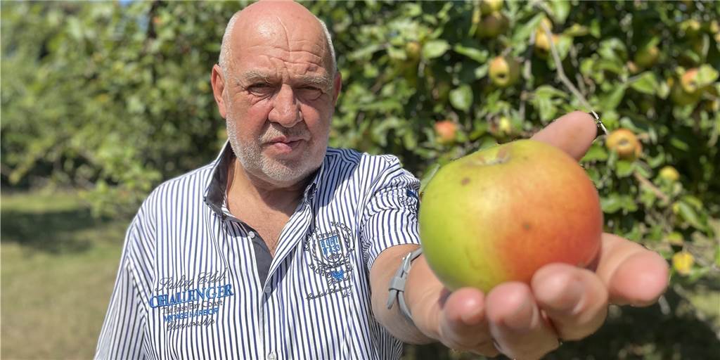 Saison auf Dortmunder Obstbaumwiese beendet: Der Organisator ist begeistert Werner Locker zeigt einen Apfel von "seiner" Obstbaumwiese, die er im Auftrag der Stadt verwaltet.