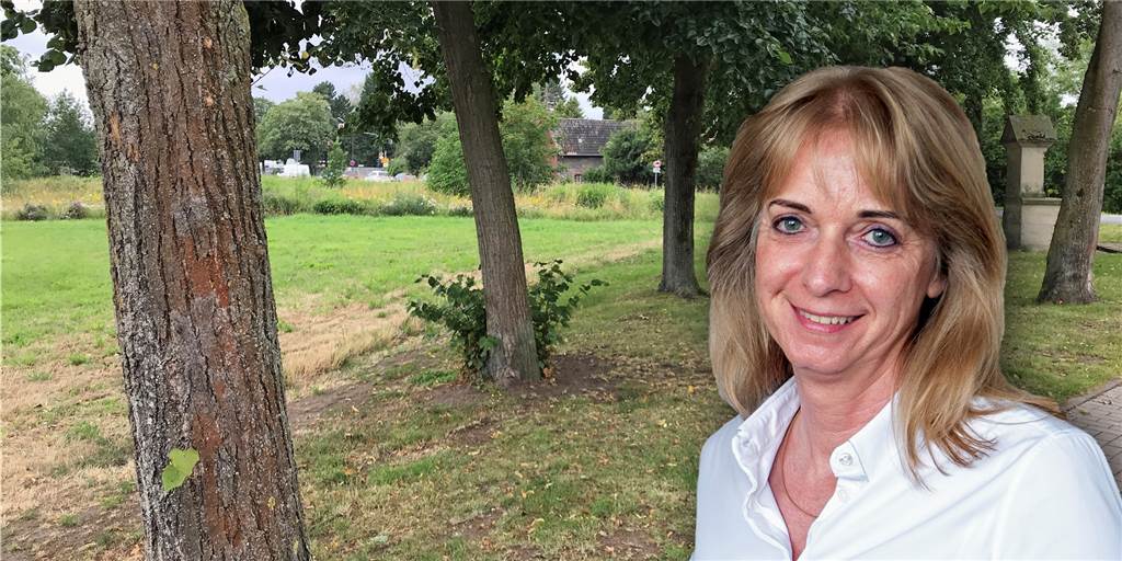 Werner Politik macht weiter Druck bei Baumpflanzungen - So reagiert die Stadt Wernes Politik (hier Adelheid Hauschopp Francke von der SPD) macht der Stadt Druck in Sachen Baumpflanzungen.