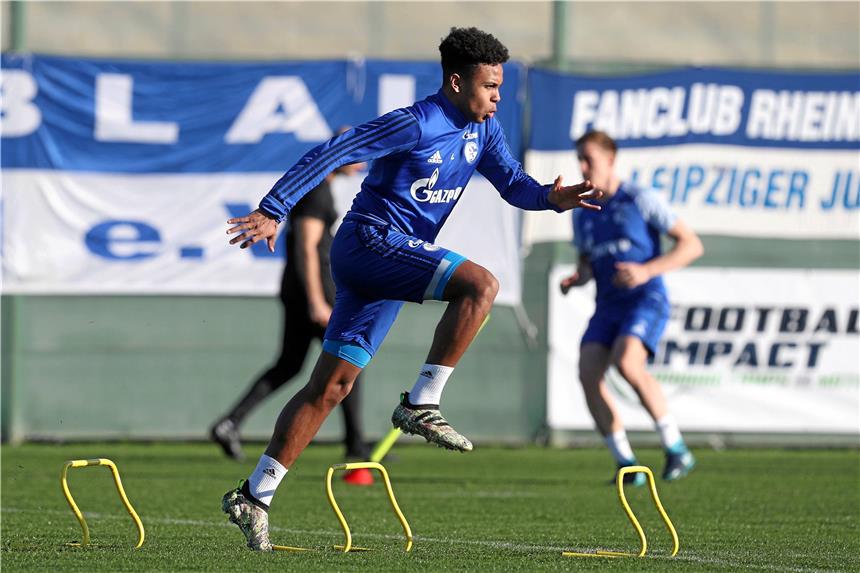 Weston McKennie ist zurück im Lauftraining bei Schalke.
