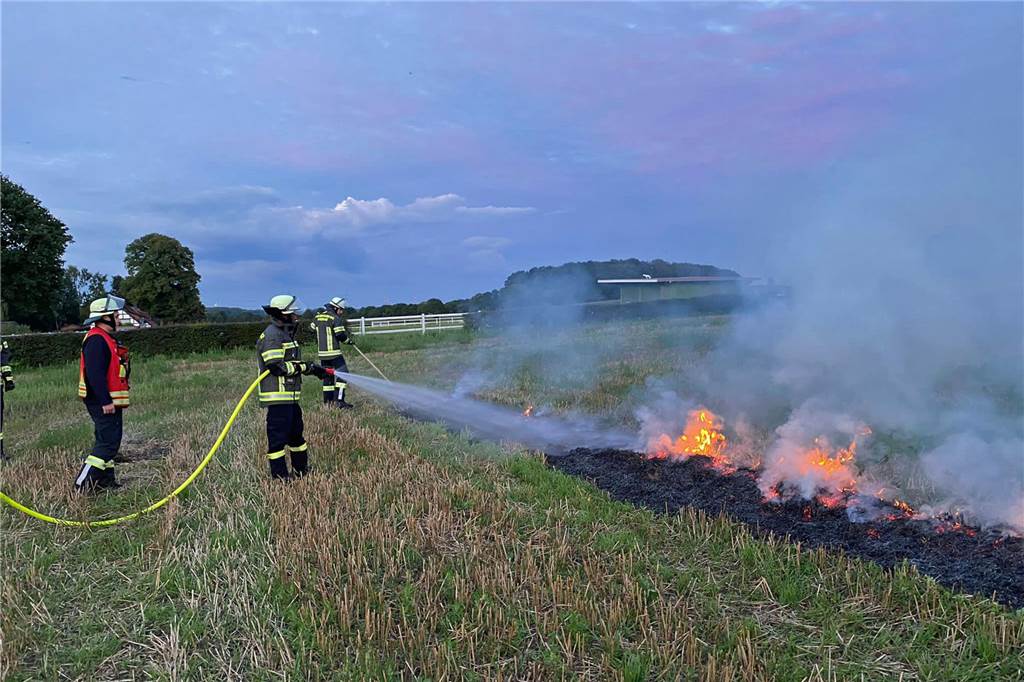 freiwillige Feuerwehr übt die Bekämpfung von Feld- und Wiesenbrände Wichtig ist, solch ein Feuer schnell und von allen Seiten einzudämmen.