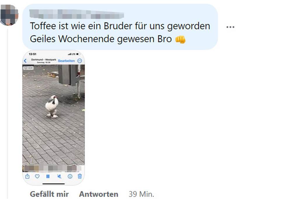 „Toffee ist unser Bro“: Was das Schul-Huhn im Westpark erlebt hat Facebook-Post zu Toffee, Schul-Huhn, Aplerbecker Grundschule