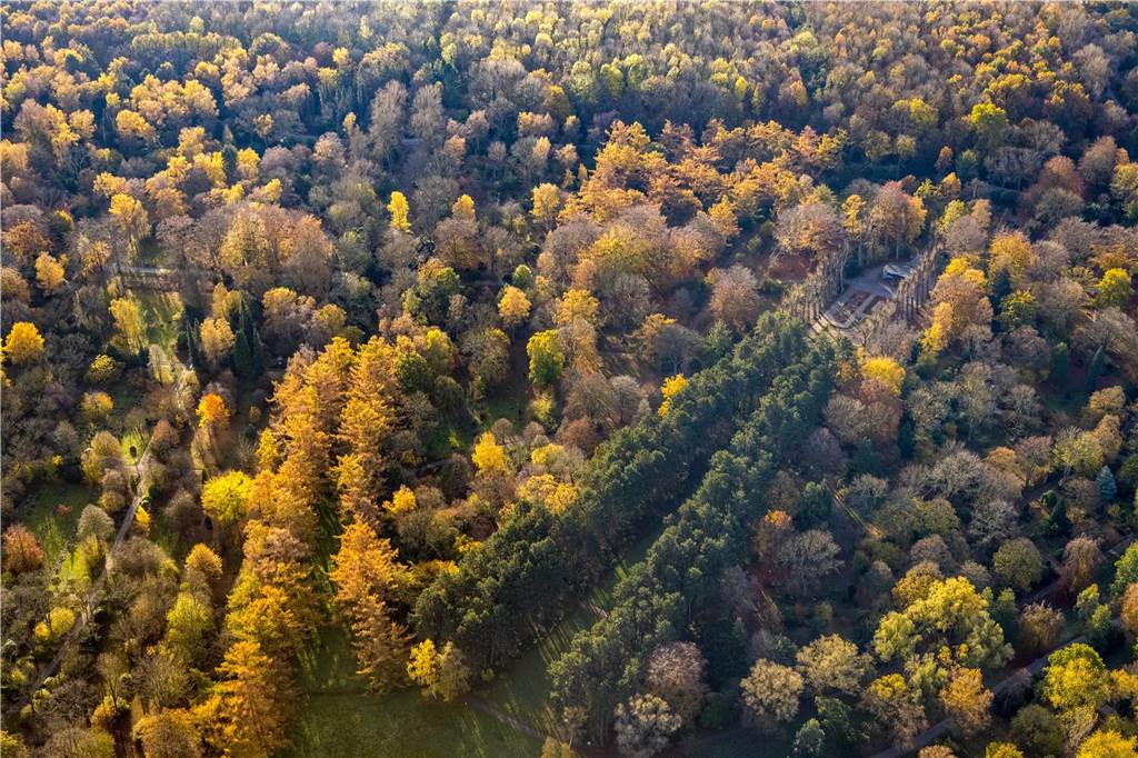 Das Geheimnis der ältesten Grabstätte auf dem Dortmunder Hauptfriedhof Wie ein riesiger Park wirkt der Hauptfriedhof aus der Vogelperspektive. Gut zu erkennen ist die grüne Achse der Talaue, die sich über das Areal zieht.