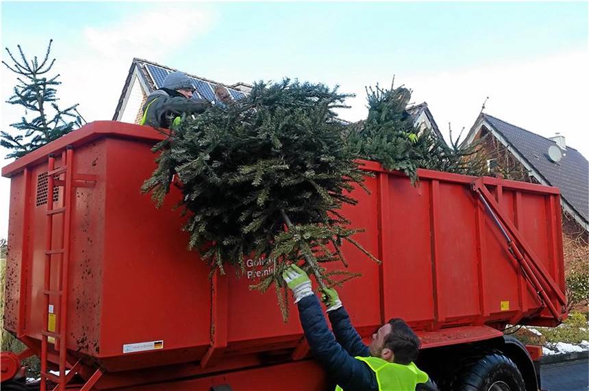 Was Sie am Mittwoch wissen sollten: Weihnachtsbäume und Wertstoffhof Wie hier vor einigen Jahren in Heek, sind am Samstag, 9. Januar, wieder ehrenamtliche Helfer unterwegs, sammeln und entsorgen abgeschmückte Weihnachtsbäume und sammeln Geld für einen guten Zweck.