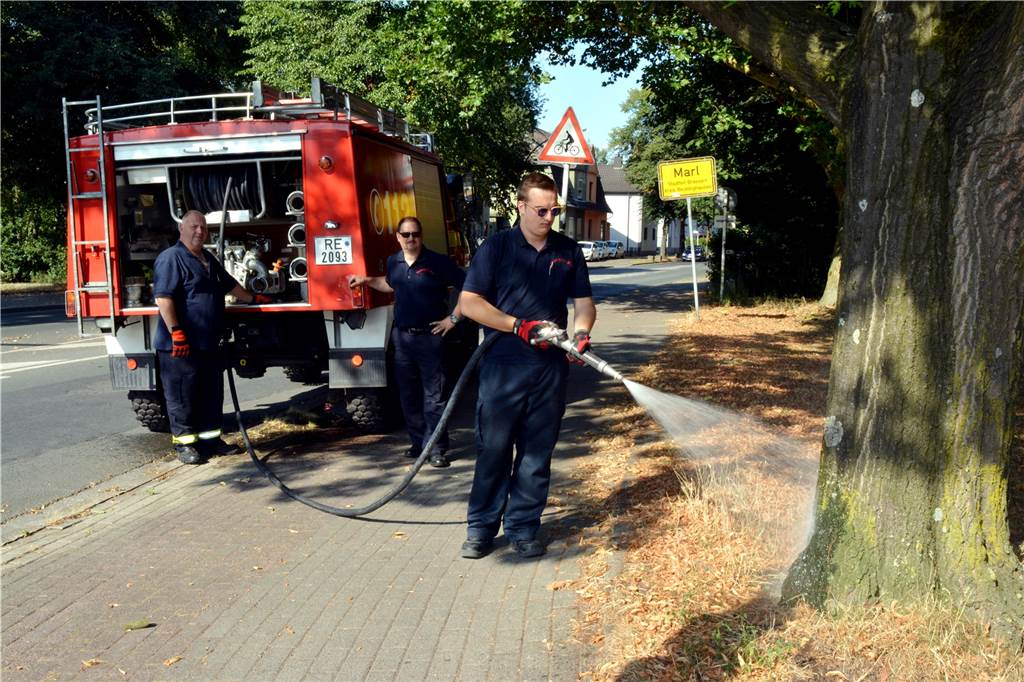 Wie hier werden vielerorts bereits Bäume im städtischen Bereich vor dem Austrocknen bewahrt.