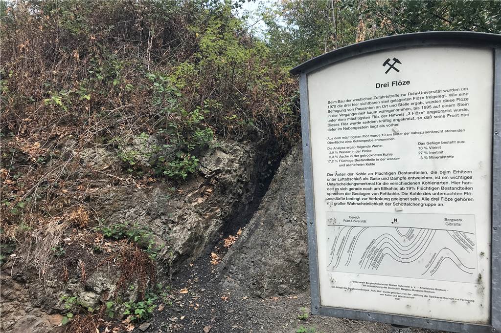 Wandern im Ruhrgebiet - unser Tipp für eine vierstündige Route Wie im frühen Tagebau liegt hier ein Flöz direkt an der Oberfläche.