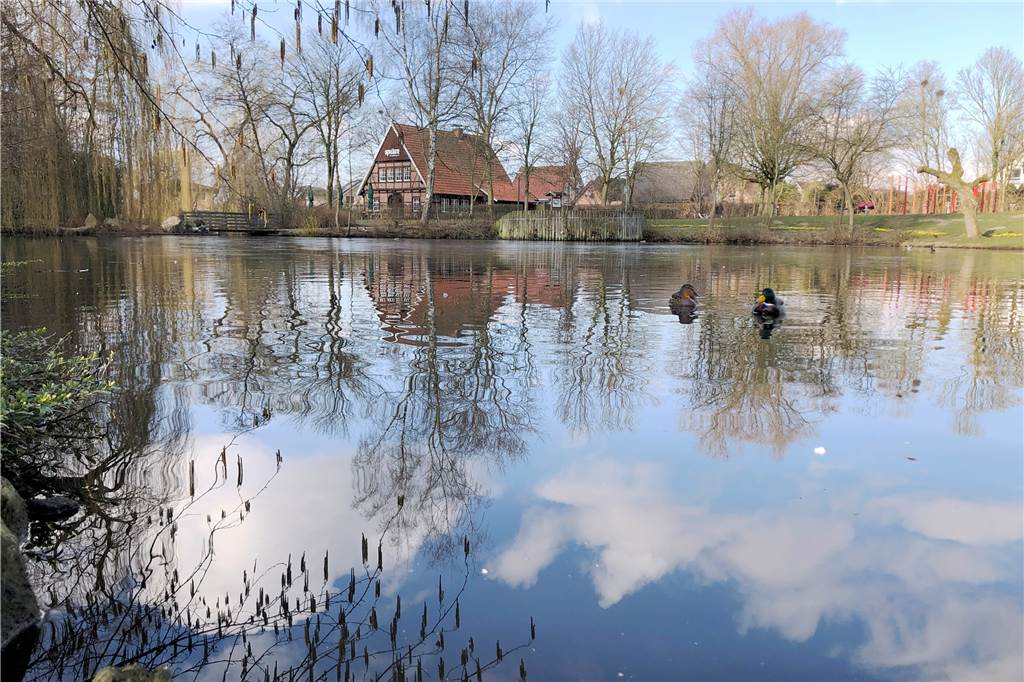 Wie können Losbergpark und Losbergteich naturnäher gestaltet werden? Dies Frage soll nach dem Willen der FDP 2023 in Stadtlohn erörtert werden.