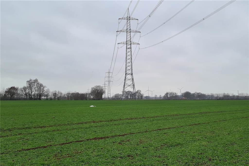 Toter Schwan auf Schöppinger Feld: Ursache für qualvollen Tod steht fest Wie man gut erkennt, ist der Schwan unweit der Hochspannungsleitung verendet. Mutmaßlich ist er zuvor mit dieser kollidiert. Davon geht der Kreis Borken aus.