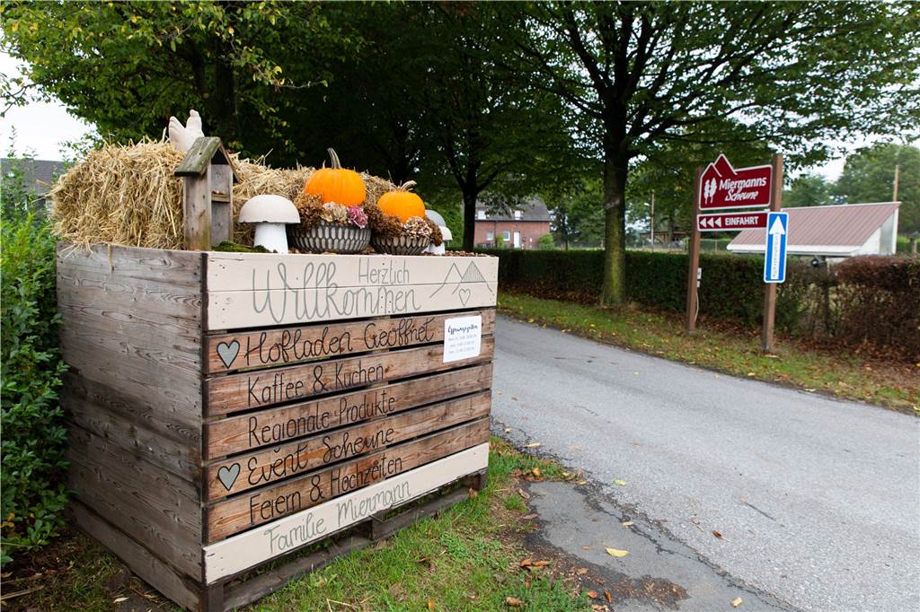 Bevor der Mais geht, wird in Kirchhellen die Kartoffel gefeiert Zufahrt zum Hof Miermann