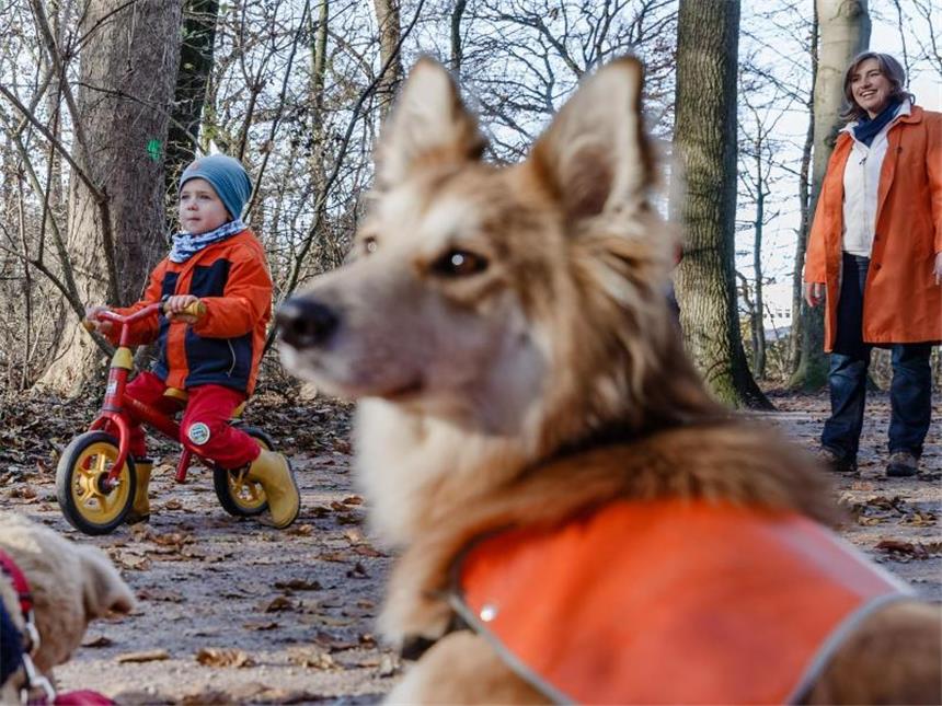 Kindern den Umgang mit Hunden beibringen Wie verhalte ich mich, wenn ich einen Hund treffe? Kinder müssen das erst lernen - in einem Kurs können sie es mit einem echten Hund und unter Aufsicht einer erfahrenen Hundetrainieren üben. Foto: Markus Scholz