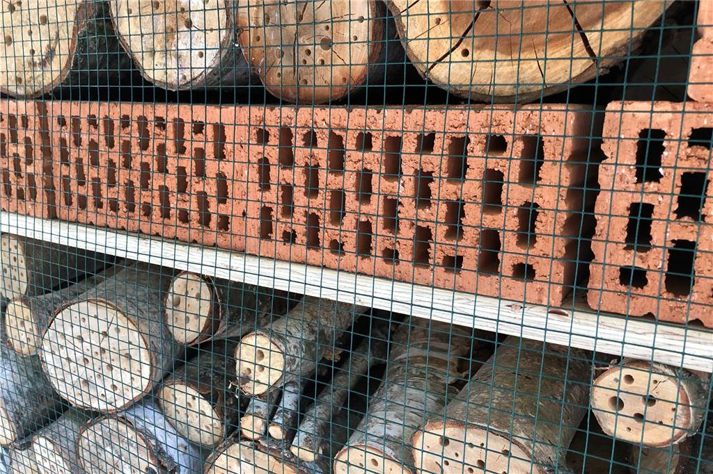 Bohrmaschine glühte anderthalb Wochen für riesiges Insektenhotel Wie viele Löcher in die Hölzer gebohrt wurden, weiß wohl nur Azubi Tim Wiedenhöft, der anderthalb Wochen die Bohrmaschine bediente.