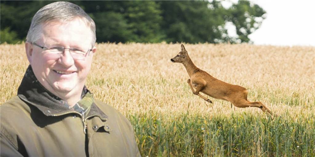 Selmer Jäger zu Wildunfällen: „Problematisch sind freilaufende Hunde“ Wildunfälle passieren vor allem in der dunklen Jahreszeit. Heinz-Georg Mors weiß, worauf zu achten ist, damit wenig Unfälle passieren.