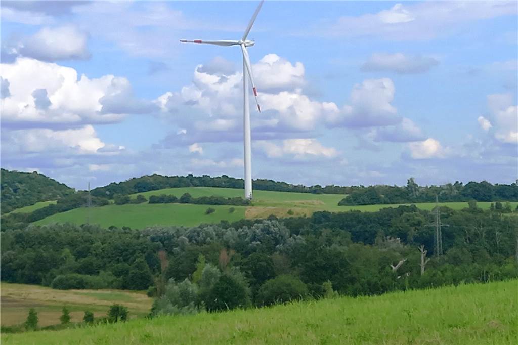 Windkrafträder fügen sich in die Landschaft ein.