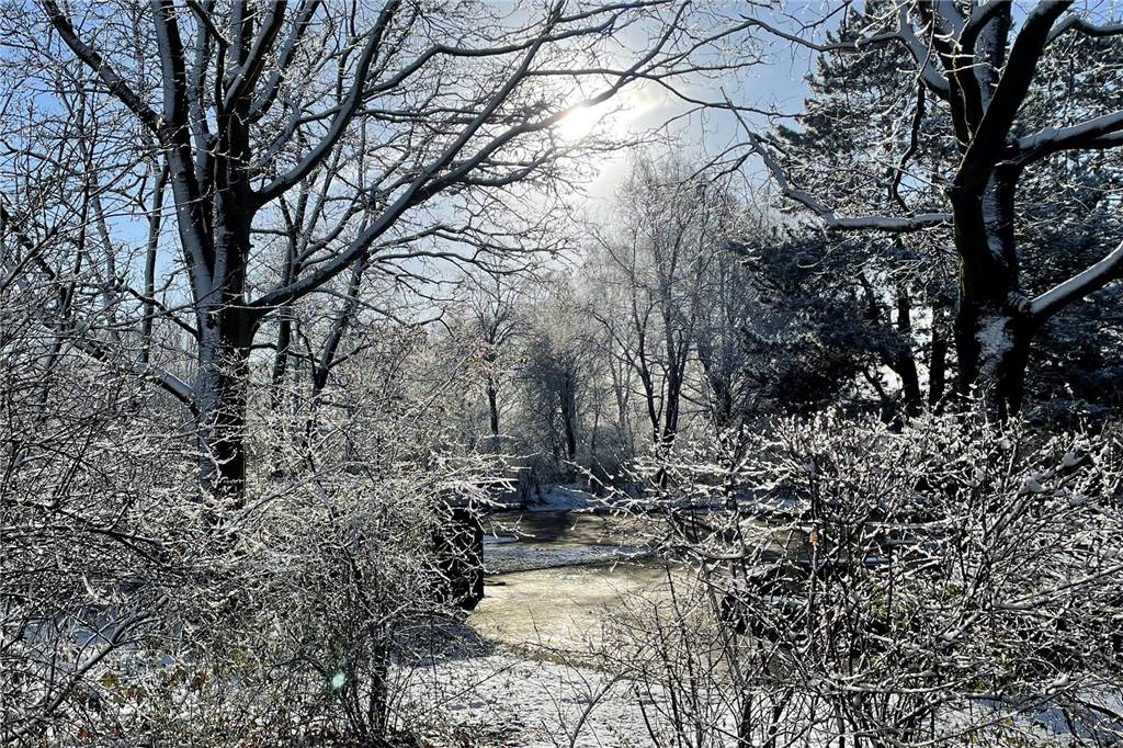 Winterliche Stimmung im Stadtlohner Losbergpark.