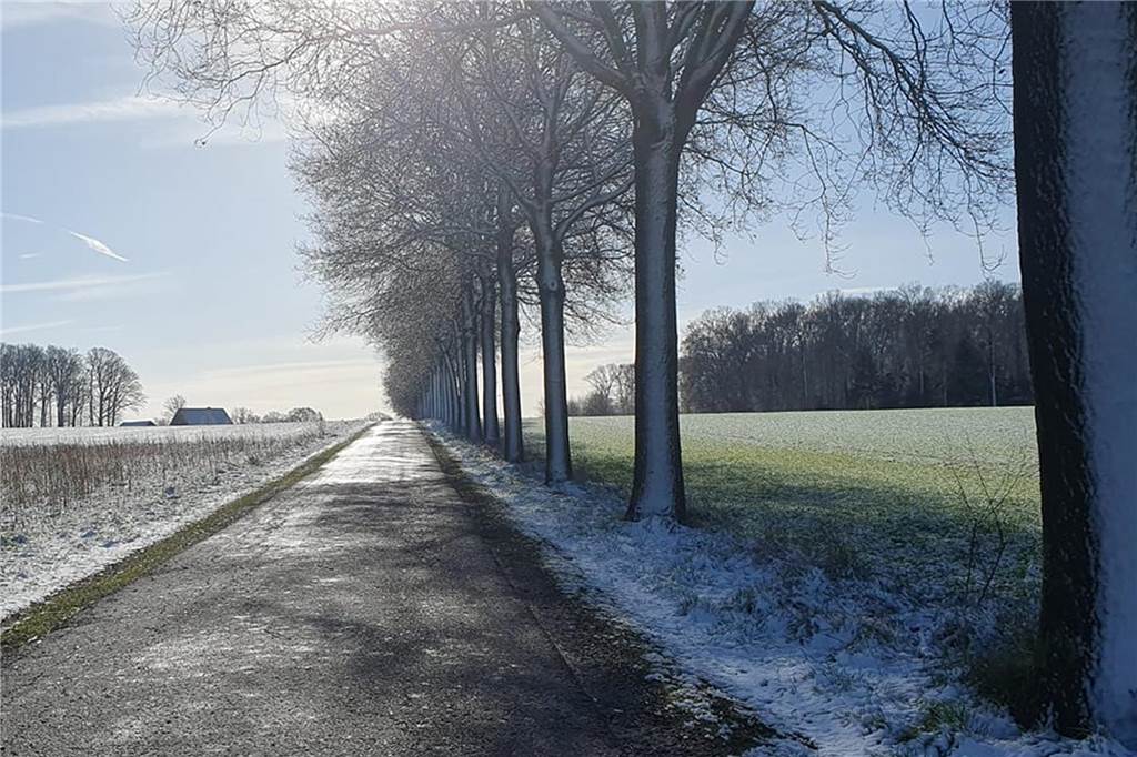Winterliche Straße – eingefangen von Carolin Kemper aus Südlohn.