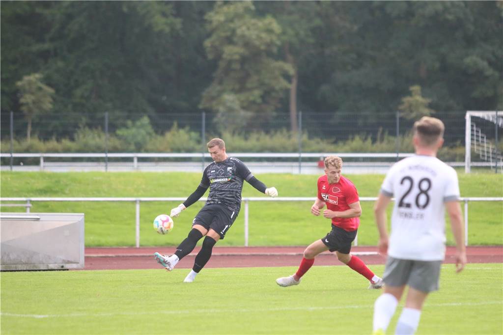 Wir haben die besten Bilder vom Wochenende gesammelt.