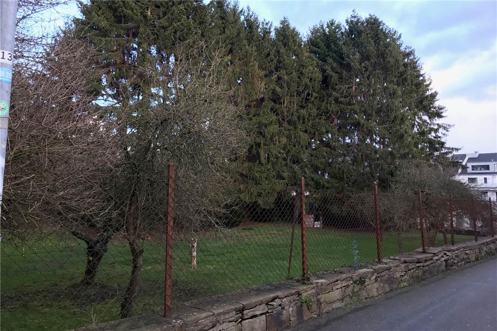 Bauprojekt Nordwall scheiterte auch im fünften Anlauf Wird nicht bebaut: Pferdekämpers Wiese zwischen Wittekindstraße, Nordwall und Ostenstraße.