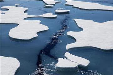 Wissenschaftler sind sich einig, dass die Arktis in den nächsten 30 bis 50 Jahren eisfrei sein wird. Foto: David Goldman/AP
